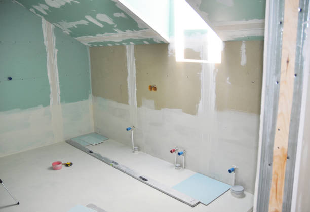 Best Mold Damage Restoration  in Edgewood, IN