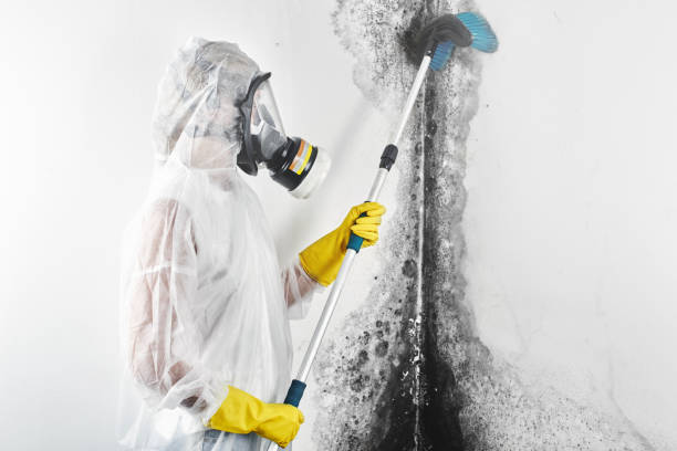 Best Comprehensive Air Testing for Mold Contaminants  in Edgewood, IN