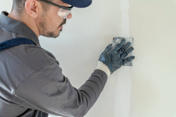 Best Attic Mold Removal  in Edgewood, IN