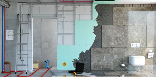Best Basement Mold Removal  in Edgewood, IN