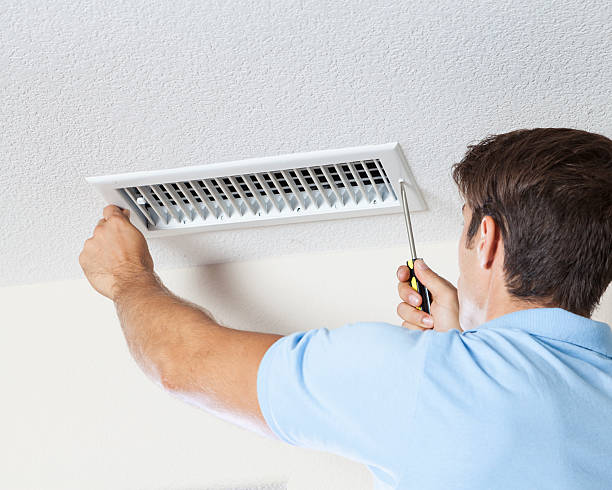 Best Mold-Related Health Consultation  in Edgewood, IN