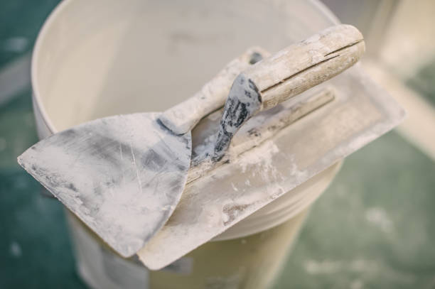 Trusted Edgewood, IN Mold Removal Experts